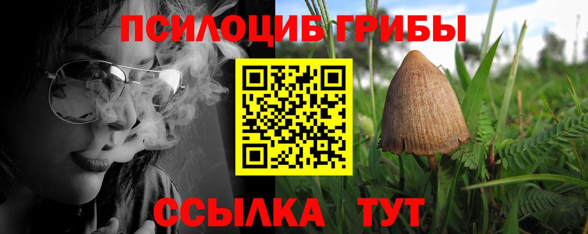 Белореченск  Псилоцибиновые грибы прущие грибы  Вход с VPN 
